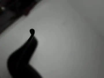 Chaturbate Live Sex Cam of transnextdoor_