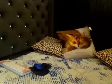 Chaturbate Adult Video Chat of stefanny_vv
