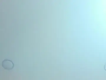 Chaturbate Live Sex Cam of antonella_west