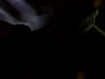 Chaturbate Free Live Porn of transcendental_tara