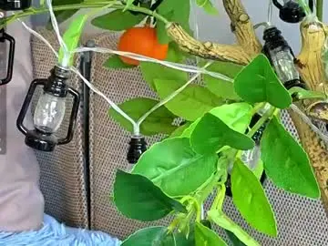 Chaturbate Free Porn Cam of sinfulfairy