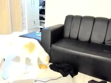 Chaturbate Best Webcam of millerjdm