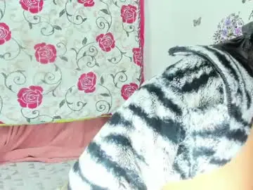 Chaturbate Adult Video Chat of daniahot777
