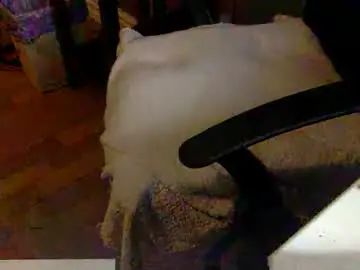 Chaturbate Sex Cam of feetlover123456436457
