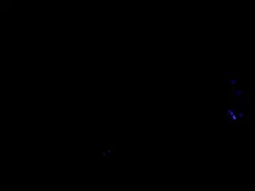Chaturbate Adult Webcams of axell_cross2