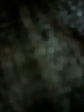 Stripchat Free Porn Cam of Mr_hottie_21