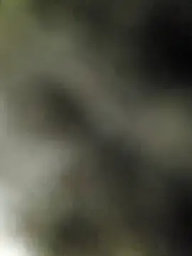 Stripchat Sex Cam of ch___ro69