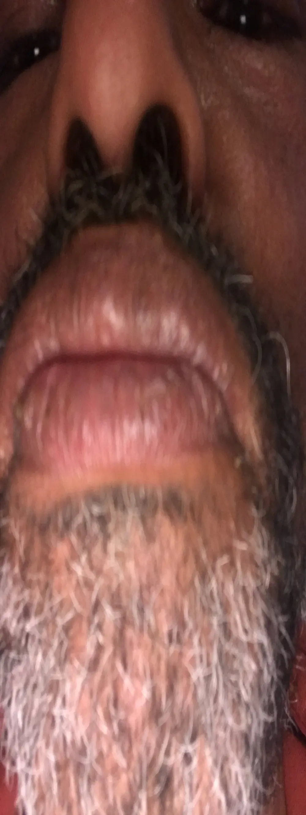 Bigboadick
