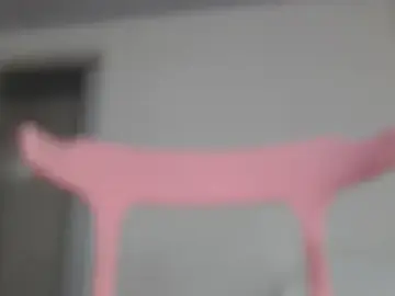 Stripchat Sex Cam of Kitty_Mifl