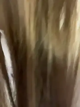 Stripchat Free Live Porn of Miss_valeriaa