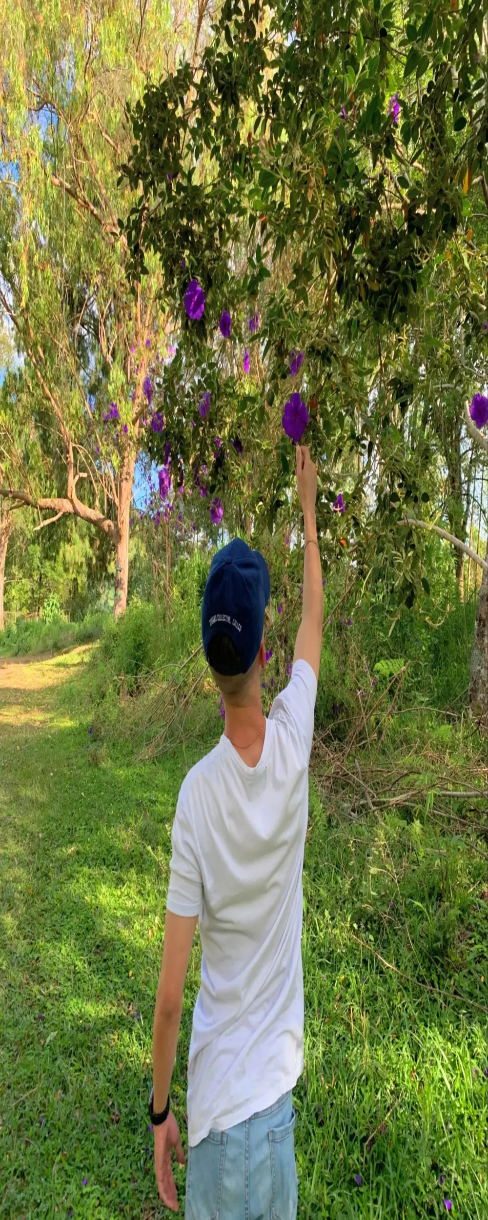 davidsmile2