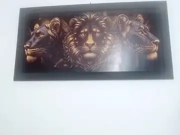 Stripchat Best live sex cam show of drake_brwon_23
