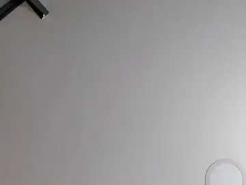 Stripchat Live Sex Cam of Tylor_and_tom