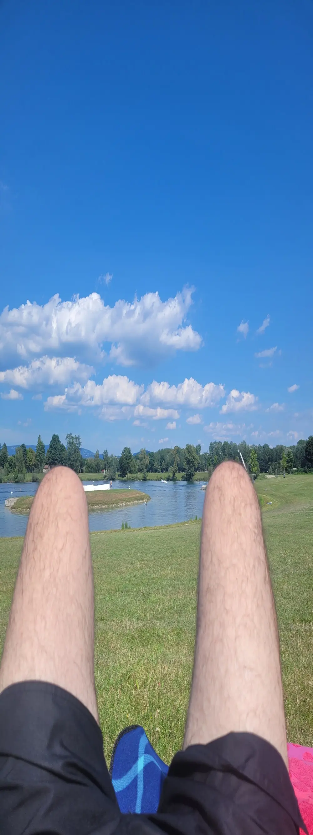 austriancock1