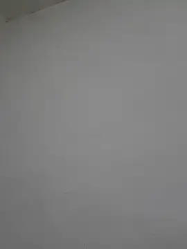 Stripchat Free Live Porn of 2BigBlacxxx
