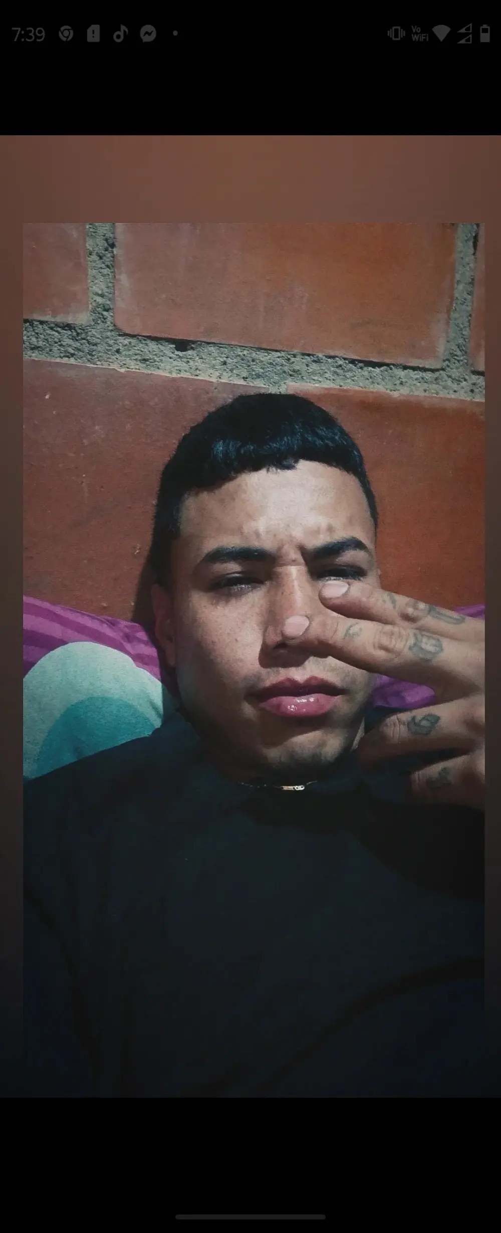 eldelmienbrogrueso