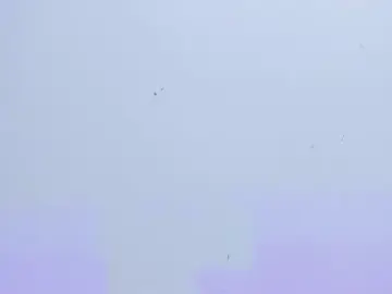 Stripchat Live Sex Cam of gaby_flow
