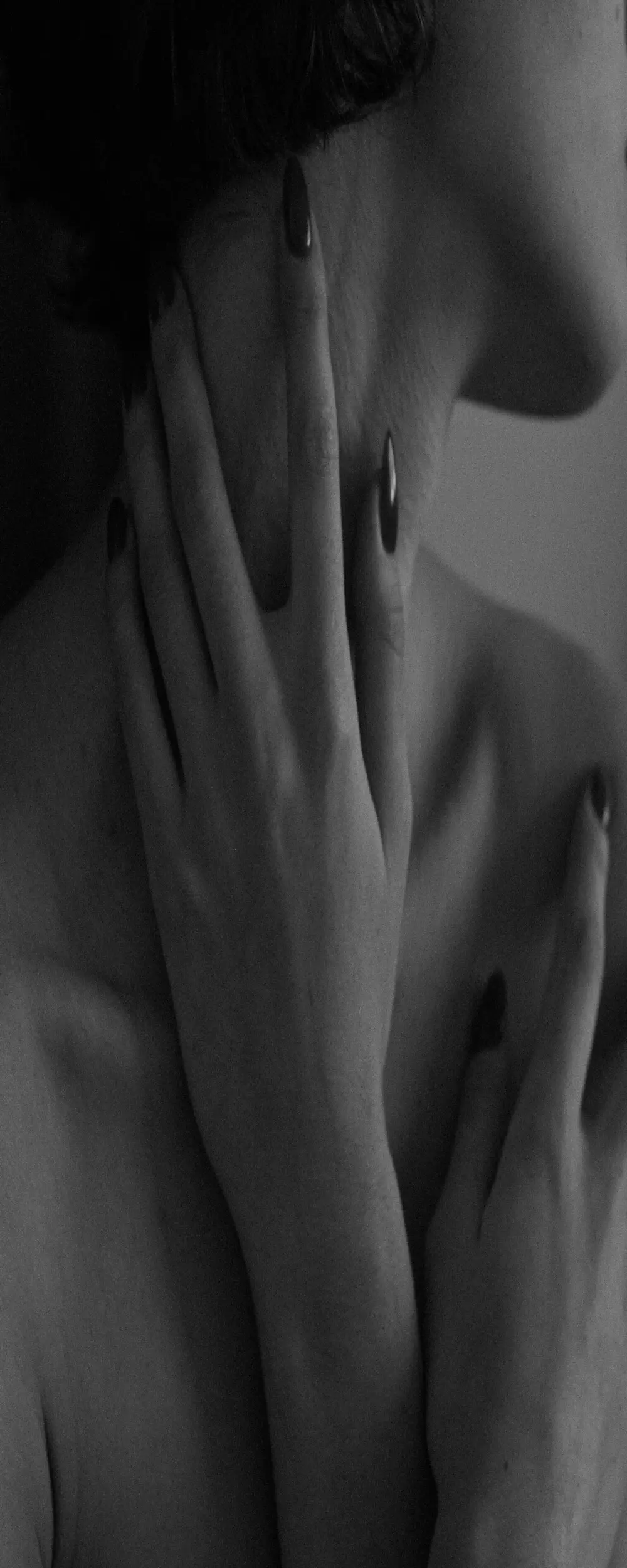 wafaa24