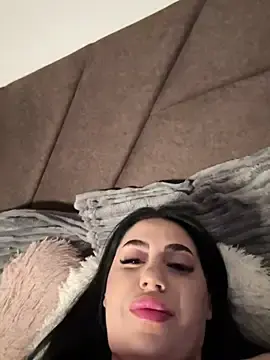 Stripchat Adult Webcam of Andrestarr