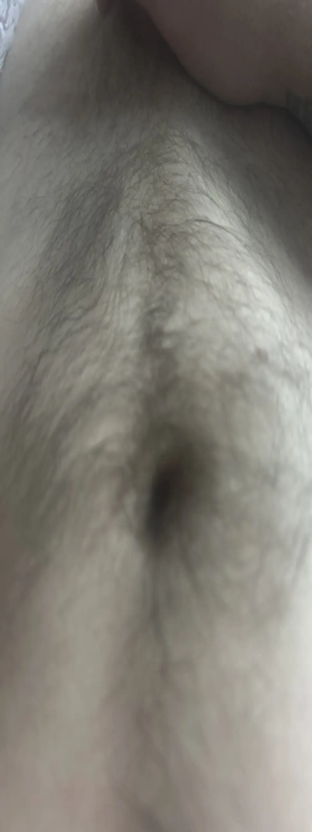 BIGDICK3202