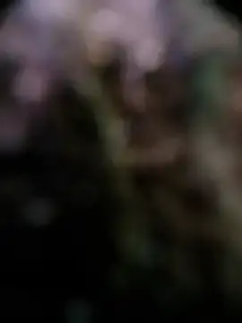 Stripchat Sex Chat of Lolo20cm6