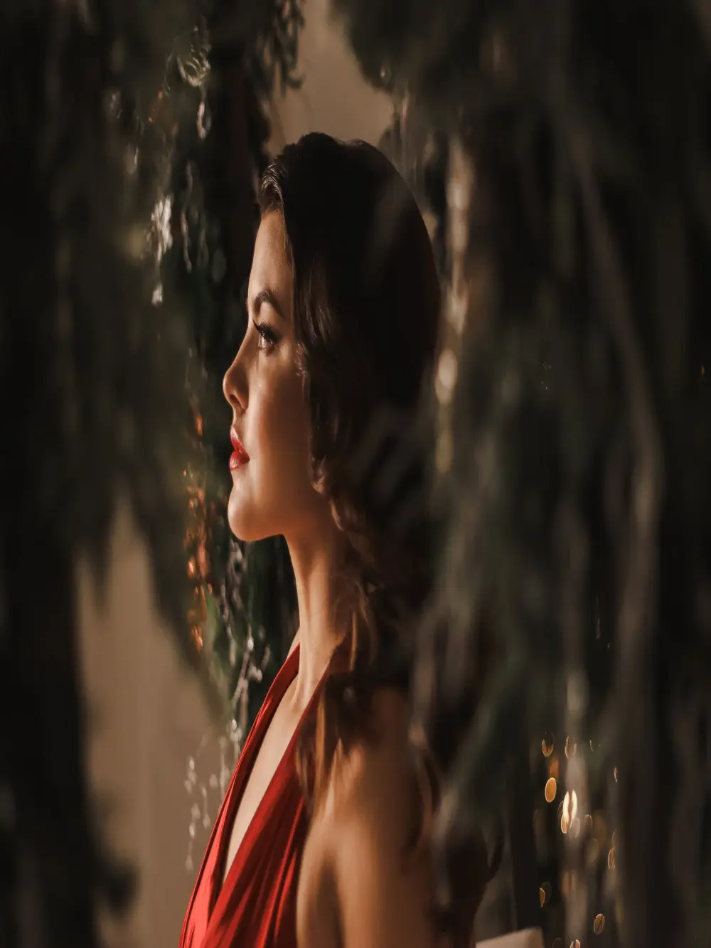 showmeparadise